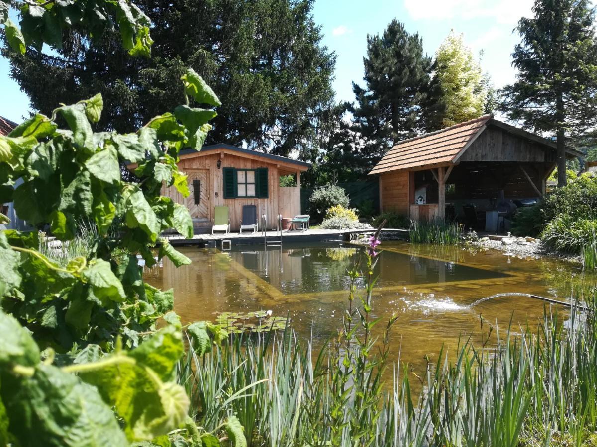 Pension Wolkenreich Oberhaag Экстерьер фото